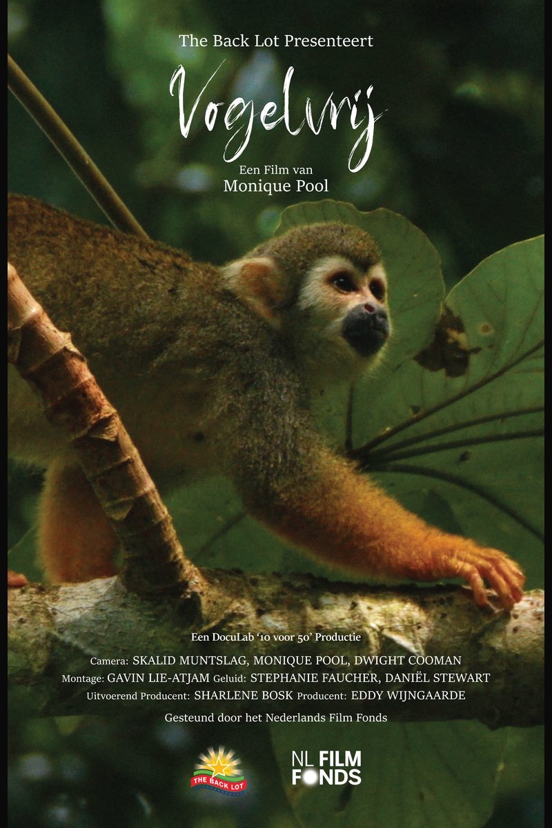 Poster van de documentaire Vogelvrij
